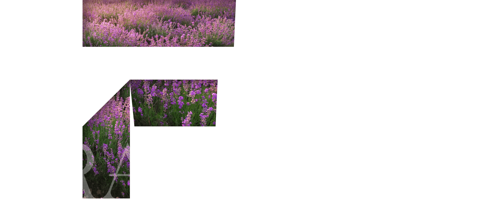 Fragrance innovations coming to you soon!